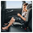 Miniaturebillede af Thule Palm R129 100-150cm Grå Autostol