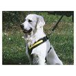 Miniaturebillede af MIMsafe Allsafe hundesele small