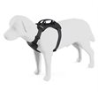 Miniaturebillede af Thule Cappy L Hundesele til Bil