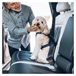 Miniaturebillede af Thule Cappy L Hundesele til Bil
