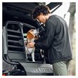 Miniaturebillede af Thule Allax Double M Compact Hundebur