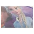 Miniaturebillede af Disney Princess solbeskytter 65x38 cm 2 stk