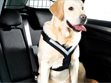 Miniaturebillede af MIMsafe Allsafe hundesele large