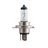 Produktbillede af H4 Vision lampe 12v 60/55w p43t-38