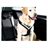 Produktbillede af MIMsafe Allsafe hundesele large