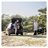 Produktbillede af Thule Allax threshold M Compact Hundebur