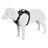 Thule Cappy L Hundesele til Bil